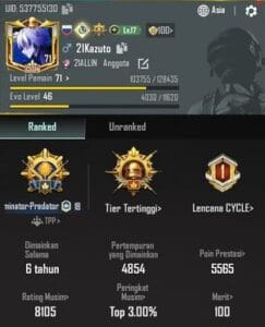 pubg profile