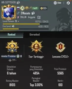 pubg profile
