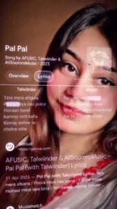 Pal Pal CapCut Template Link