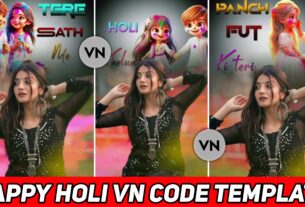 Happy Holi Vn Code Template 2025