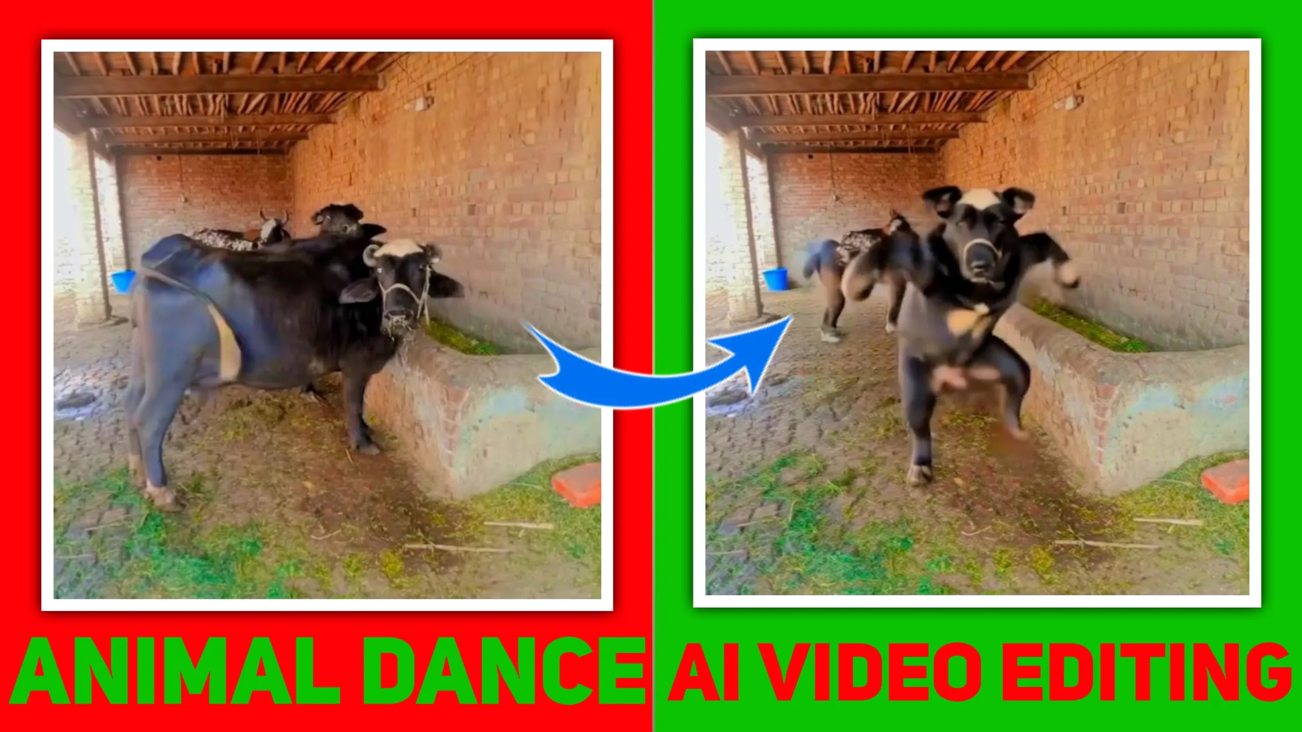 Create Animal Dance Videos with AI create animal dance video with ai