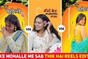 Dil Ke Mohalle Mein Sab Theek Hai VN Template Download