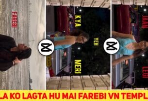 Laila Ko Lagta Hu Mai Farebi Vn Code Template 2025